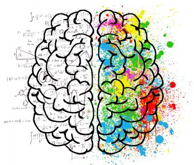 Développer les capacités de son cerveau : hémisphère gauche et droit