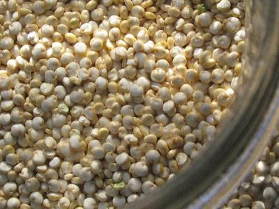 Le quinoa: un super-aliment