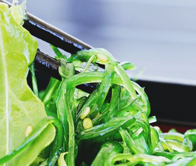 L'ALGOTHERAPIE : Qu'est ce que c'est ?