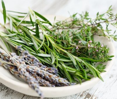 Traitements naturels contre les vers intestinaux