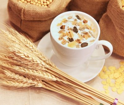 L'avoine, remède naturel bon pour la peau et le corps